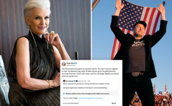 Elon Musk's mother, Maye, appears to encourage voter fraud in X post